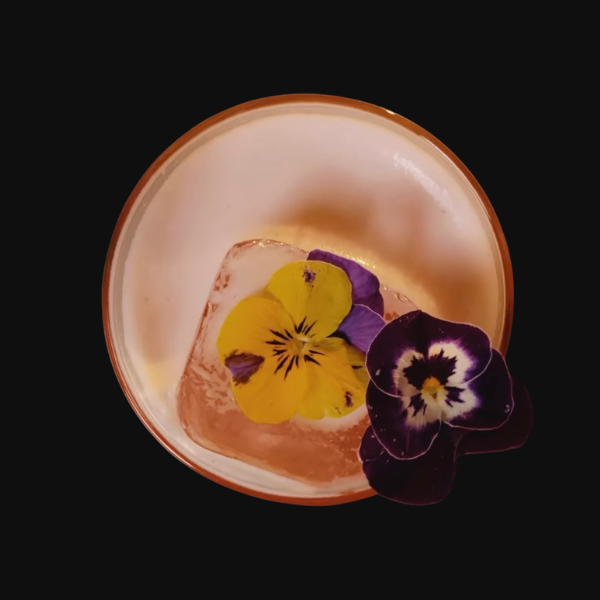 Projekt bez nazwy - 2026-03-29T145755.252